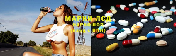 шишки Заволжск