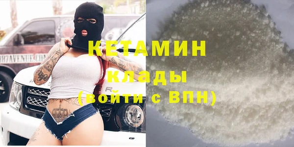 шишки Заволжск