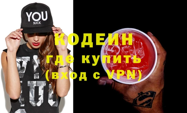 шишки Заволжск