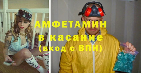 шишки Заволжск