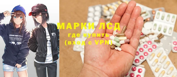 шишки Заволжск
